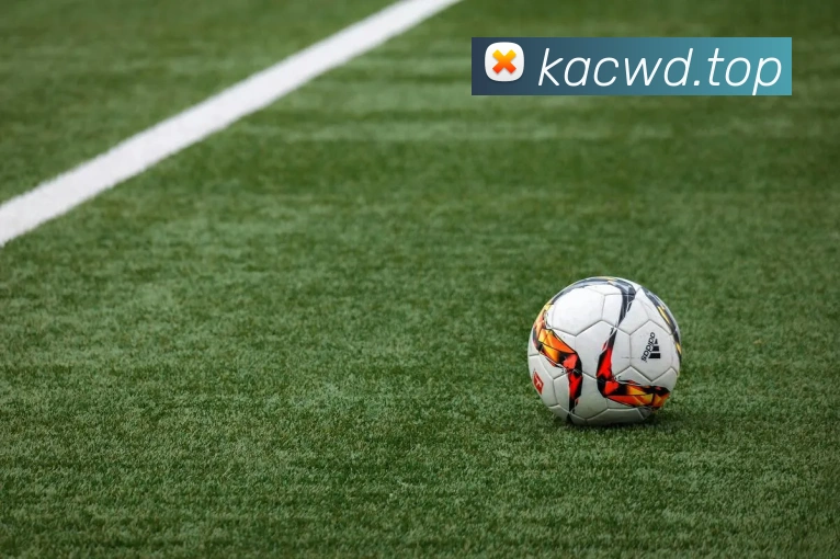 问鼎28APP 体育赛事宣传图